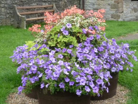 Helmsley Bloomers Planters near Bus Shelter, Carlton Road