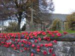 Image: Churchyard Wall Remembrance Poppies 2023-11