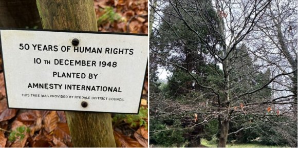 Amnesty International Tree & Sign. Planted 1948