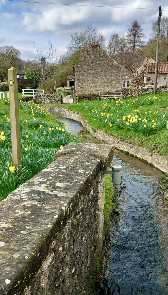 Boroughbeck in Helmsley, March 2024