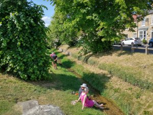 Cooling feet in Borough Beck