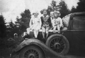 HA05380 Ferguson family bilberry picking 1950