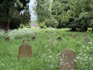 Old Cemetery May 2024